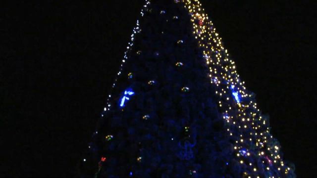 Открытие елки на площади 2018 (Мелитополь)-4