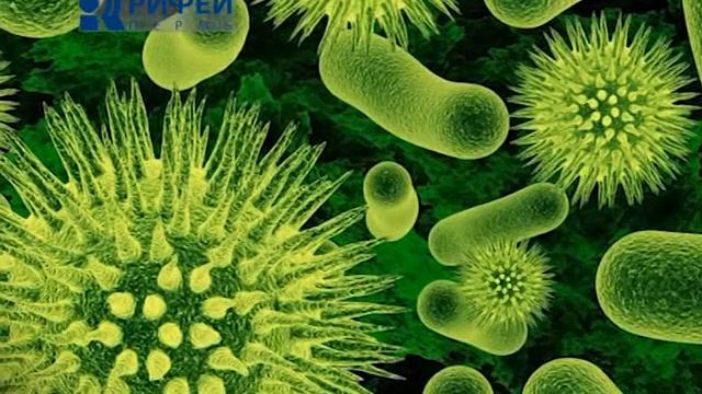 Ваше здоровье  Проветривание