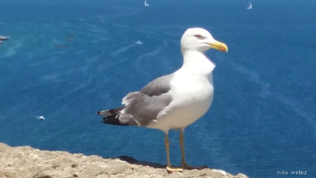 Арагонский замок о.Искья Италия Aragonese