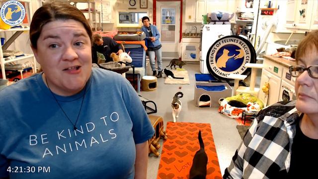 Buckeye Update And Info On  2 New Cats 02-08-2024 (FFRC)