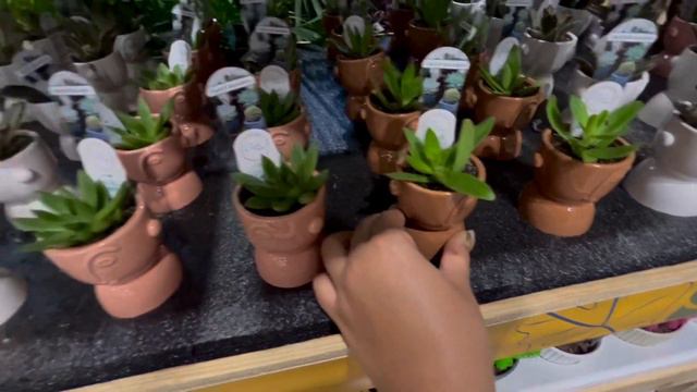 Plant Shopping At Lowe’s & Home Depot ! | Season 1: Episode 2