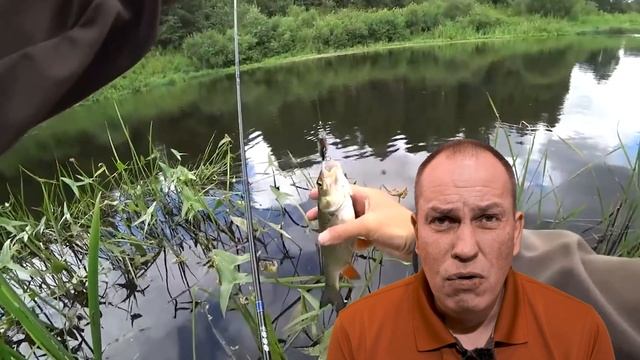 Как поймать голавля. Спиннинг, Катушка, Плетёнка, Приманки