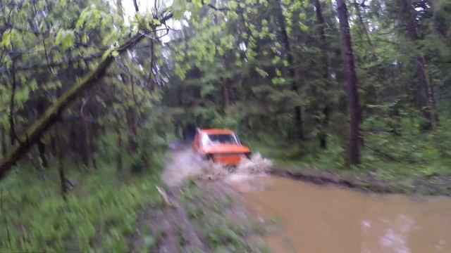 Котлета нива