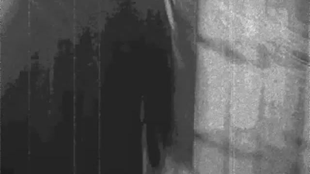 The Wrath Of Narcissa Black