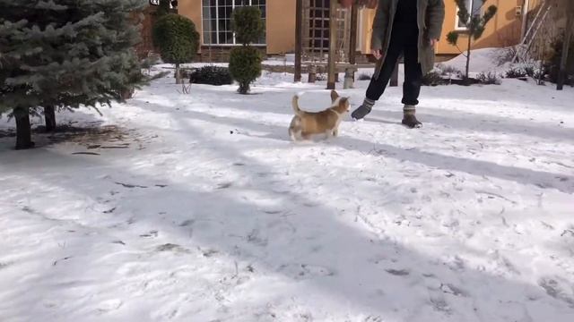 4355121235dfefb0b6d3fb6701f06e6f