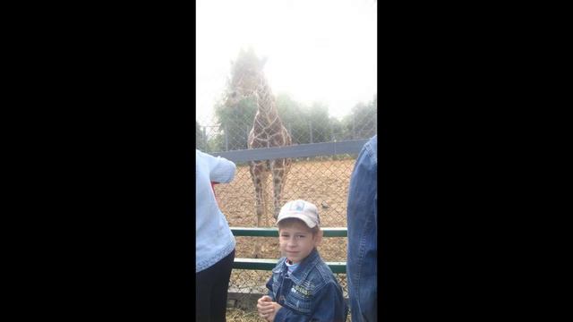 Детские фото.