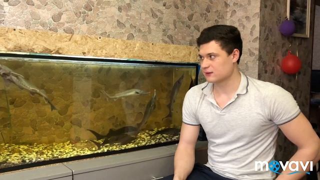 Песни осетров!!! Выращивание осетров в домашних условиях