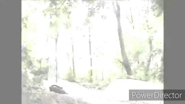 ТРЮКИ МИШАНИ ОГОРОДНИКА И (БЭКФЛИП)!