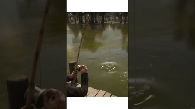 Red Dead Redemption 2 моя рекордная рыбина #рдр2 #reddeadredemtion2 #rdr2 #рыбалка #fish
