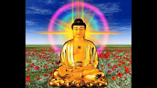 0456b39ef9a30ca54b699fc8a43ceef3