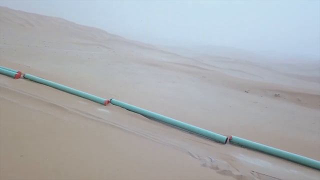 D8274b5572f1118136d5ba0c460bd18a