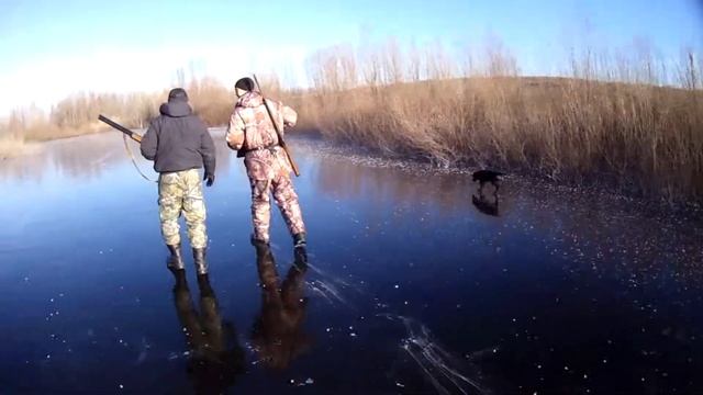 526a03f6377be7a04159ad6b2039835b