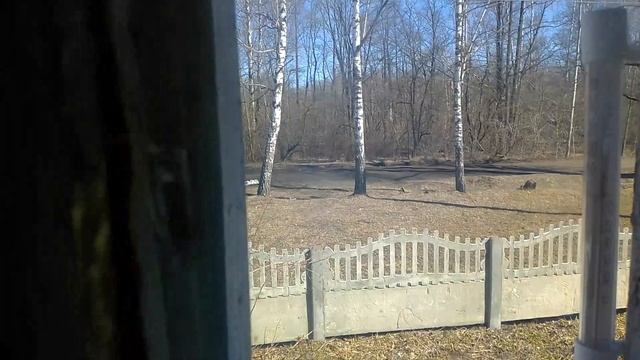 на улице +12 на солнце до +16