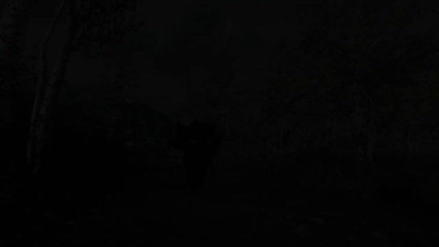 Skyrim Epic Game Clip !