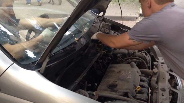 свежесть в интерьере с помощью цветов