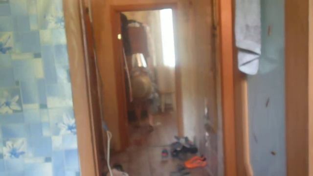 черепашка тазик