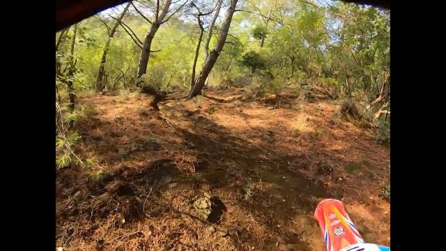 Sea To Sky 2022. Forest Race. Пытался отыграть несколько позиций…