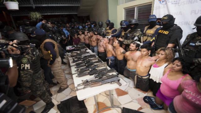 Тропы сокровищ