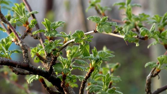 06d1f98e2d667290aefa04f0e2145d34