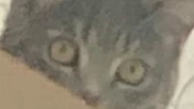 ну че ты такой хороший......