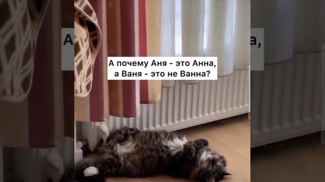 kuper_max_19871c1180.mp4