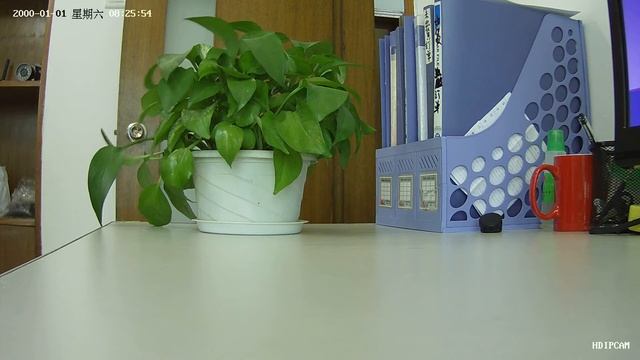 1080P Real Time 2 0 Megapixel IP Camera ( Indoor Video )
