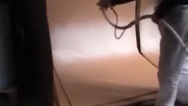 larius Minipegaso mapei elastocolor