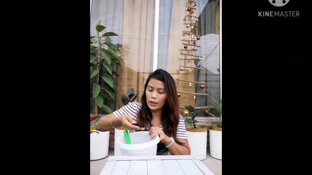 Green Emerald(Philodendron)Top Cut/Repotting 🌱💚🥰