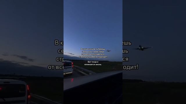 Начинается жизнь