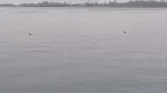 C12e91b9e4be4cc5027a9912938e639b