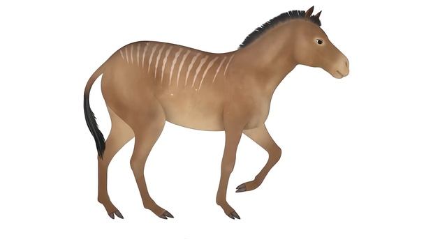 Кем были Настоящие Предки Современных Лошадей?