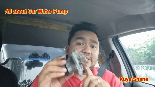 Car Water Pump Issue. Reason Of Losing Coolant. Draining Coolant..