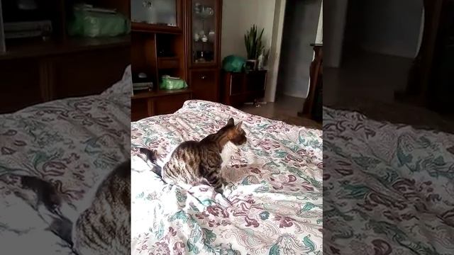 #3.19 27.9.22.Мне здесь хорошо..И не спорьте...!!  А никто и не спорит....