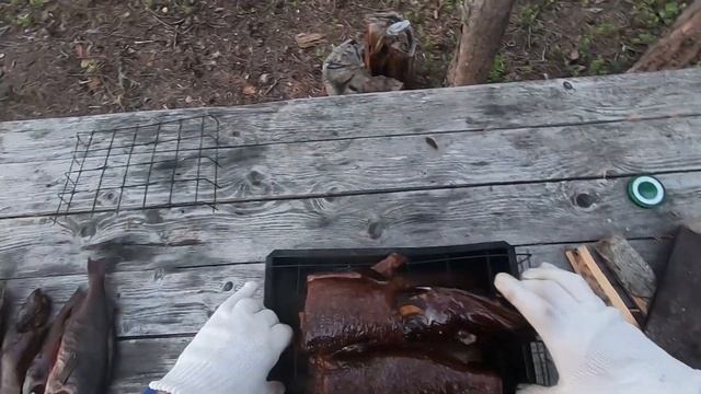 Рыбаки ОБАЛДЕЛИ от этих ОГРОМНЫХ окуней и щуки. Рыбалка в Карелии на спиннинг. .#рыбалкавкарелии202