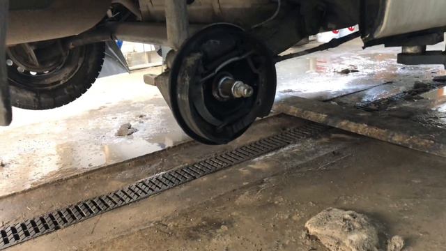 Растения в философии