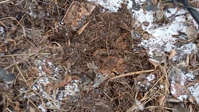 Копаем потихоньку. 😁😁😁###👍👍👍Металлокоп в полях###👍👍