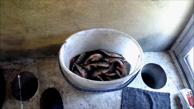 Очень много значит правильно выбрать место рыбалки.  22.02.2022 г.