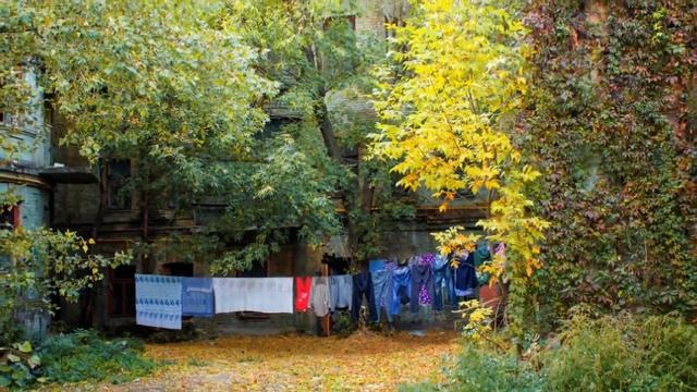 52d91c64c832bf86801b77146f09664b