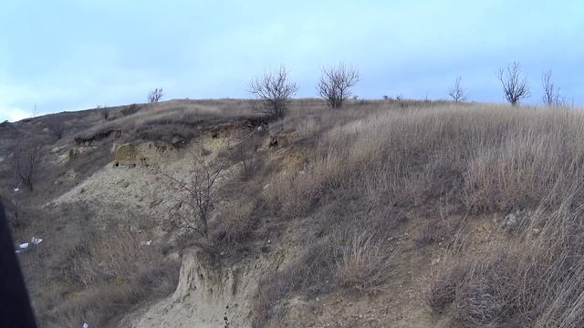 #4 Охота на лису с Ягдтерьером Hunting Foxes, With Jagdterrier.#СтепнаяТропа