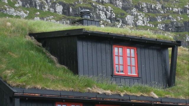 Почему на крышах домов в Скандинавии сажают траву, а не используют шифер или черепицу