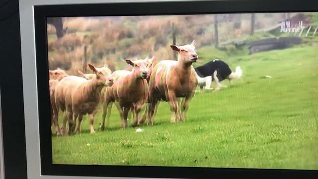 50e445c6082c74377da1b1894e47ed9c