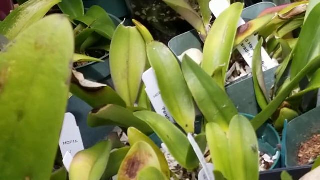 C4abc206d62d5f0e32a77584dc56bed3