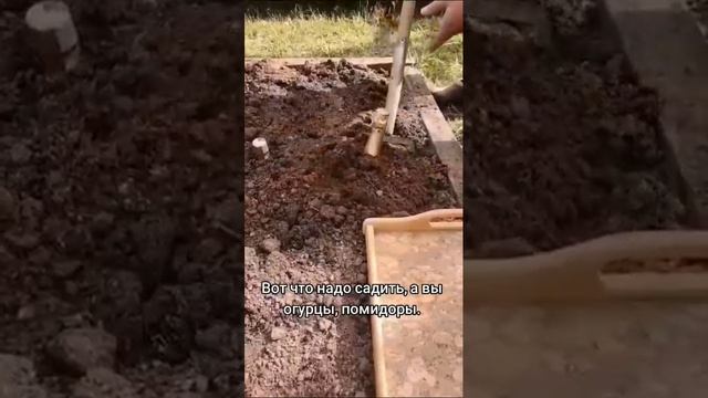 СмЕхОтА 😅😂🤣