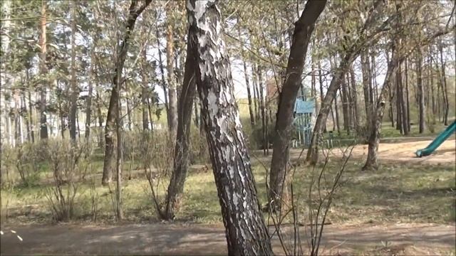 Лебедянь / часть2