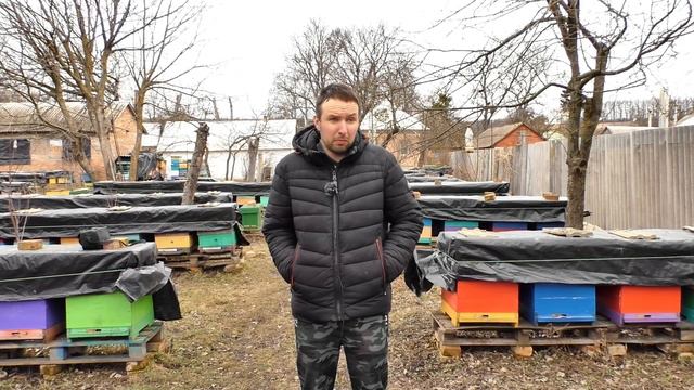 Нозематоз бджіл навесні. Ознаки і лікування