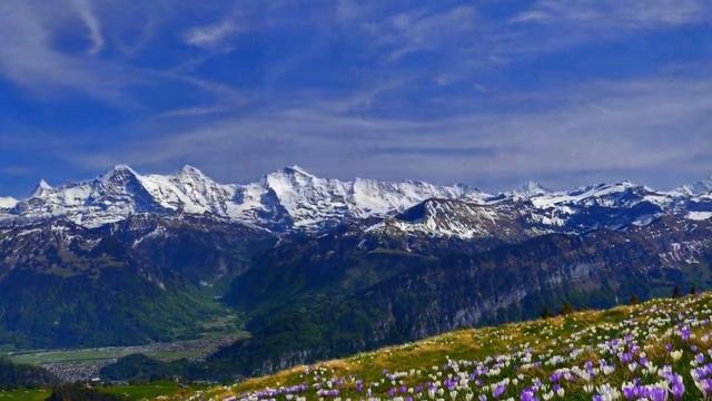 Он воскрес - ангелы поют