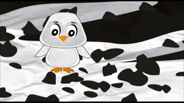 Почему пингвин чернобелый?  Киндер Зу