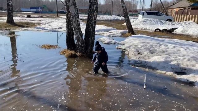 Городские дети приехали в деревню и началось. Кормят коров и купаются в грязи.