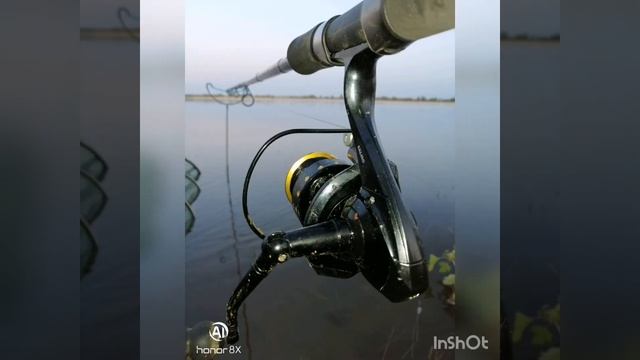 Рыболовные Орнаменты