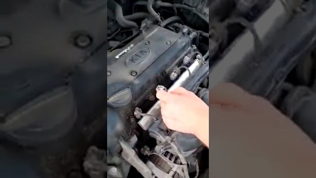 Kia Ремонт и обслуживание: Rio, Sportage, Ceed